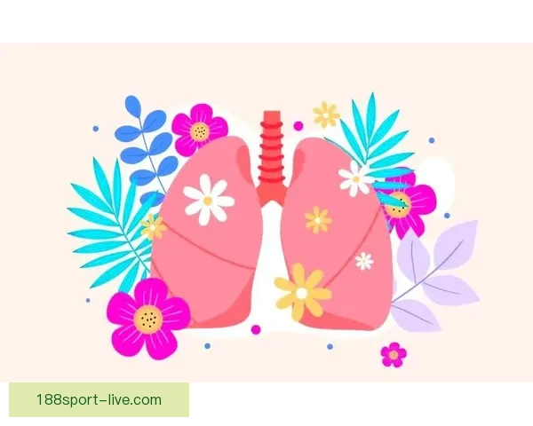 世界杯赛事全攻略解析与投注技巧全面指南让你轻松赢取竞猜收益